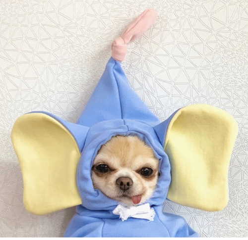 Turn chicks into dogs, cats, small and medium-sized dogs, autumn and winter fleece pet clothes and accessories, including Teddy, French Bulldog, and Bichon Frise.