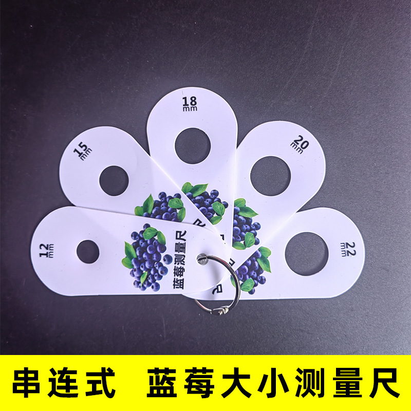 蓝莓标准大小尺子果径卡尺鲜果分级樱桃车厘子尺寸塑料测量工具尺