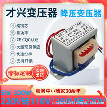 E型隔离变压器 220V转220 110 380转220V 5W10W50W100W小型电源铜