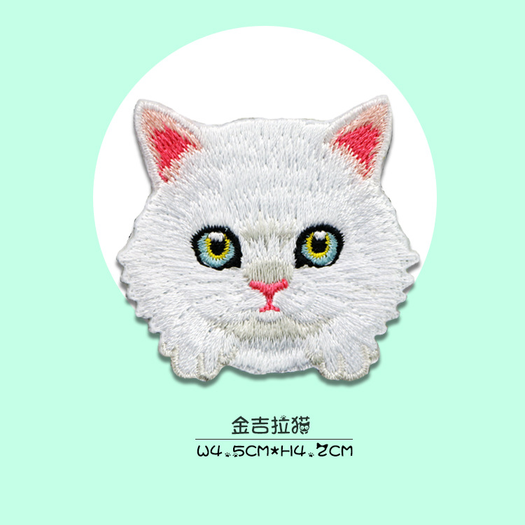 金吉拉猫.jpg