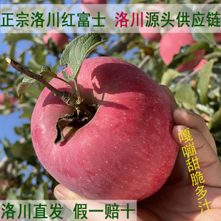 �F؛����崨�O��10��Դ�^ֱ�l���t��ʿ���rˮ�������崨�t��ʿ