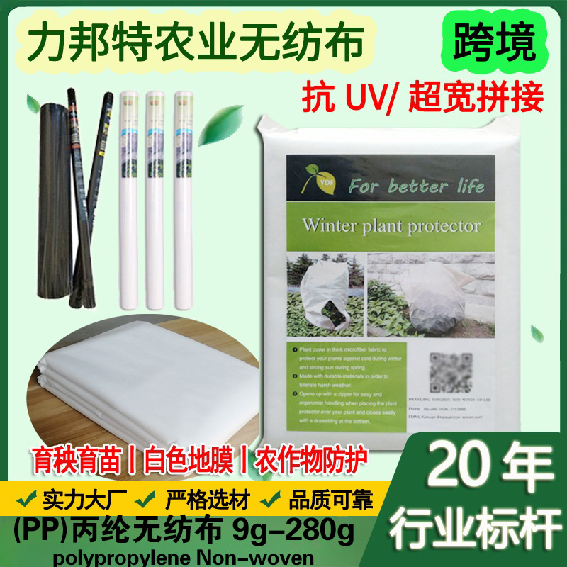 无纺布厂家农用无纺布育苗育秧果树防寒无纺布蔬菜防霜白色保温布