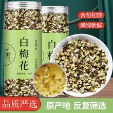 ÷õ廨؛÷ɻɢG÷YǲB