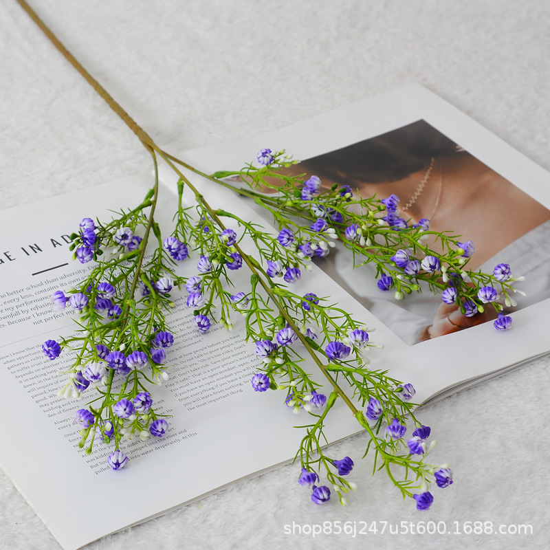 70CM brotes llenos de estrellas - púrpura
