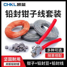 铅封钳子水表铅封扣一次性铅封钳套装防盗铅封豆铅封线双股电表