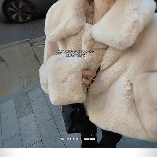 Small Tall Autumn and Winter Eco-Friendly Leather Plush Rabbit Hair Women's Coat Plus Size Short Plush Winter Coat Youth Style