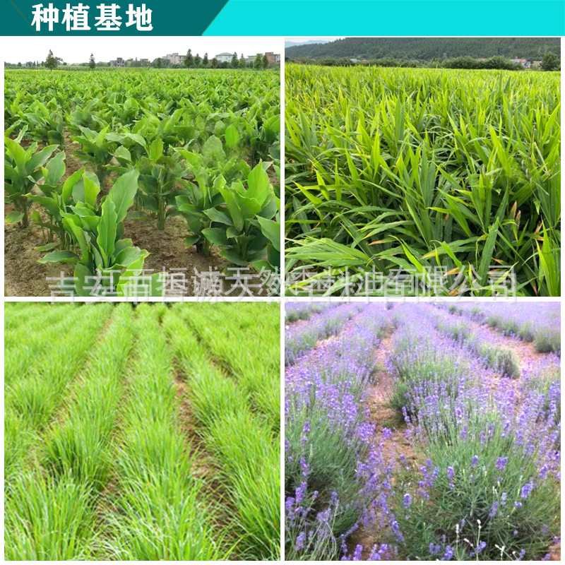 種植基地 新.jpg