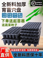 ����P������Ѩ�P���ϱ��Nֲ�����I�B���߲����NǤ����r���бP��