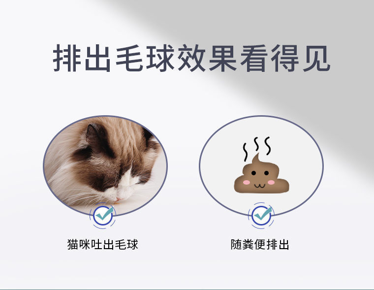 d74d543e-c74c-488f-ac96-9f8933453ac7.jpe