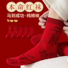 ���l���ޱ�����tɫ�m����Ů����Ͳ�m��2026�¿��R����H�Y��Y��