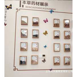 滋补店装饰药材挂图卡片图片中式形象药食同源标本悬挂标本