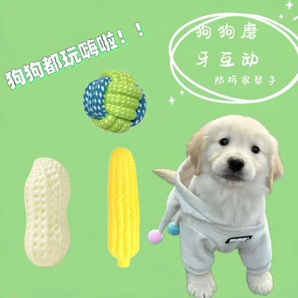 Cordón tejido juguetes de mascotas resistentes a la mordida dientes de perro juguetes de limpieza de dientes perros pequeños y medianos fábrica de entrenamiento interactivo al por mayor