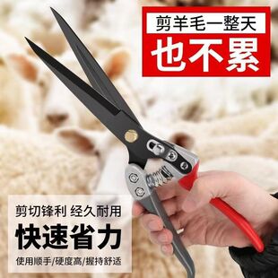 ��ë�������ֹ�����ë��������քӏ��ɼ�����ëţë������ë����