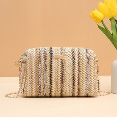 Colorful Grass Weave Bag 2024 Girl Handbags Woven Camera Bag Versatile Women Crossbody Bag Rainbow Bags