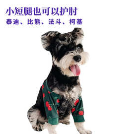 小型犬护肘腿套护膝关节保护防磨防肿防舔法斗柯基泰迪比熊雪纳瑞