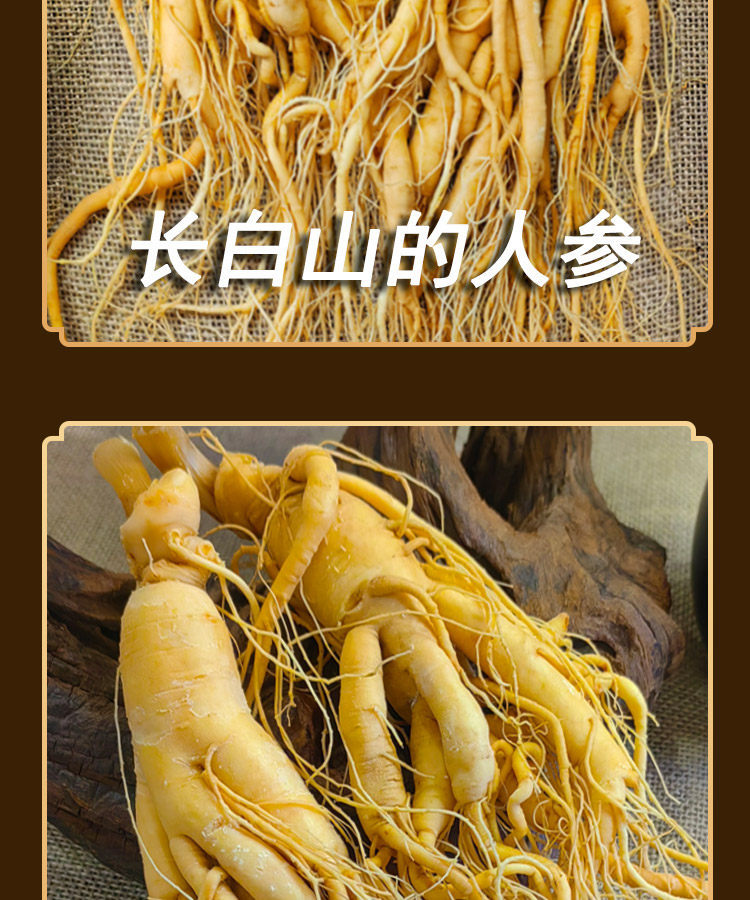 Whole Fresh Ginseng Root from Changbai Mountain Jilin for Soup and Wine Infusion Large Garden Ginseng Ren Shen specifications