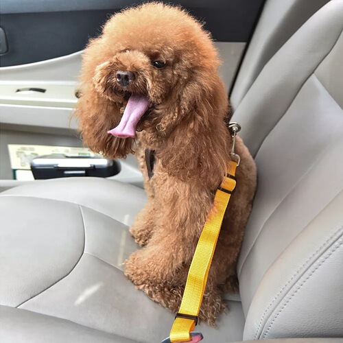 Pet supplies car retractable adjustable safety belt traction belt dog car fixed pet safety belt