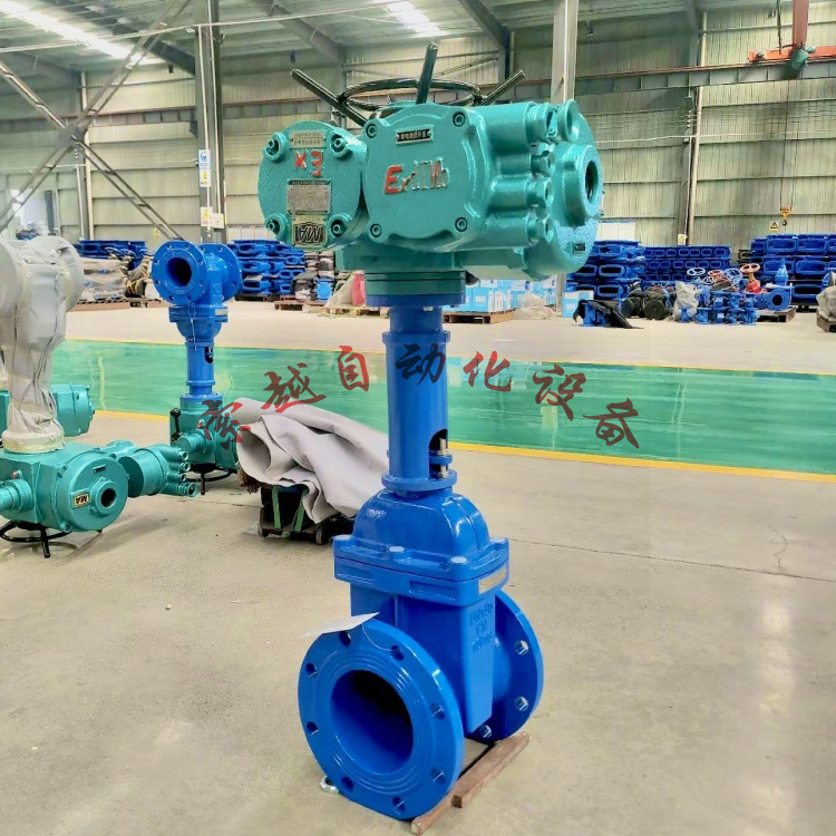 隔爆型电动闸阀 MZ941H-25C DN300 全智能数字显示 AC380V 国标