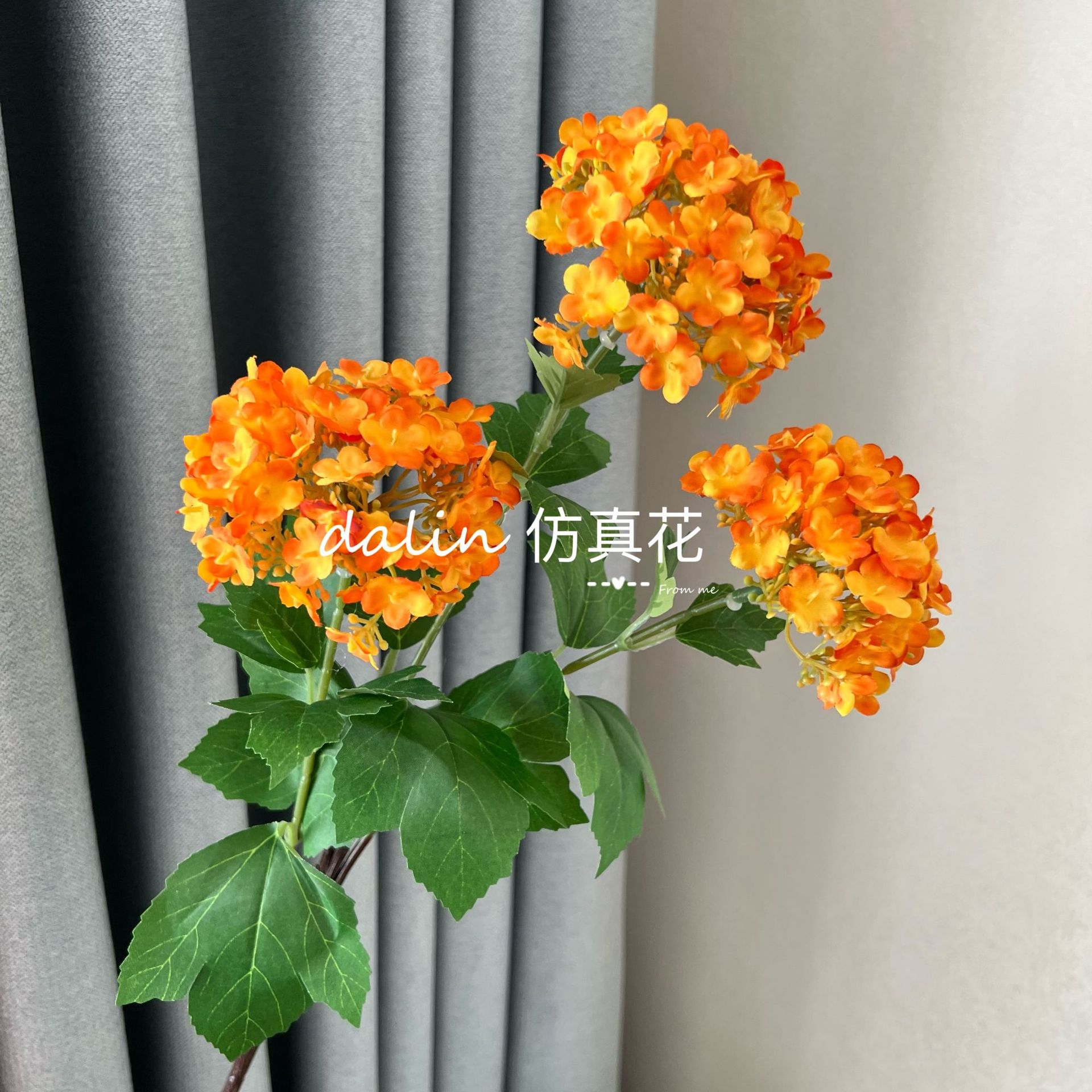 오렌지