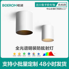 全光谱明装射灯客厅家用别墅氛围感小山丘洗墙筒射灯免开孔智能灯