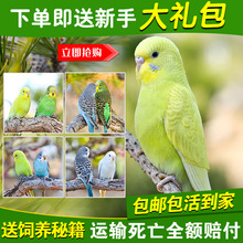 �W�^���B�B�������L녰��W�^��С�͕��fԒ�W�^���w��ﻢƤ�W�^