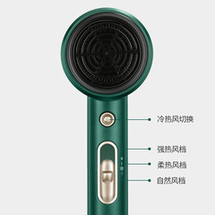 Ouxi Electric Hair Dryer Negative Ion Hair Care Household High Power Dormitory College Students Girls Special Small Hair Dryer 