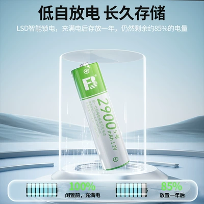 Hibrid akkumulyator batareyaları — No. 5 Rechargeable Battery Aa