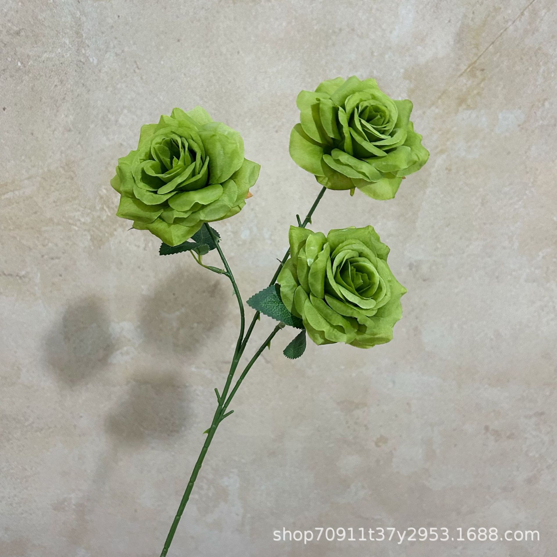 잎이 있는 녹색