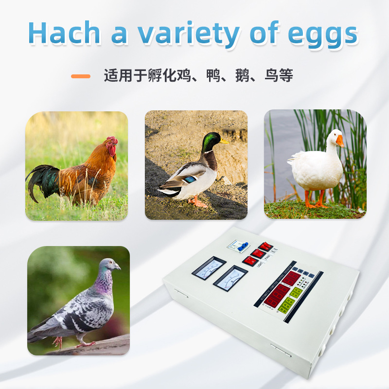 Huevo coche incubadora XM-28 controlador inteligente sistema de control controlable de temperatura y humedad incubadora accesorios suministro directo de fábrica