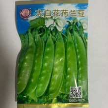 �����ƴ�׻����m�����㶹�ˈ@�Nֲ�߮a�����ļ��߲˷N�яS�����l