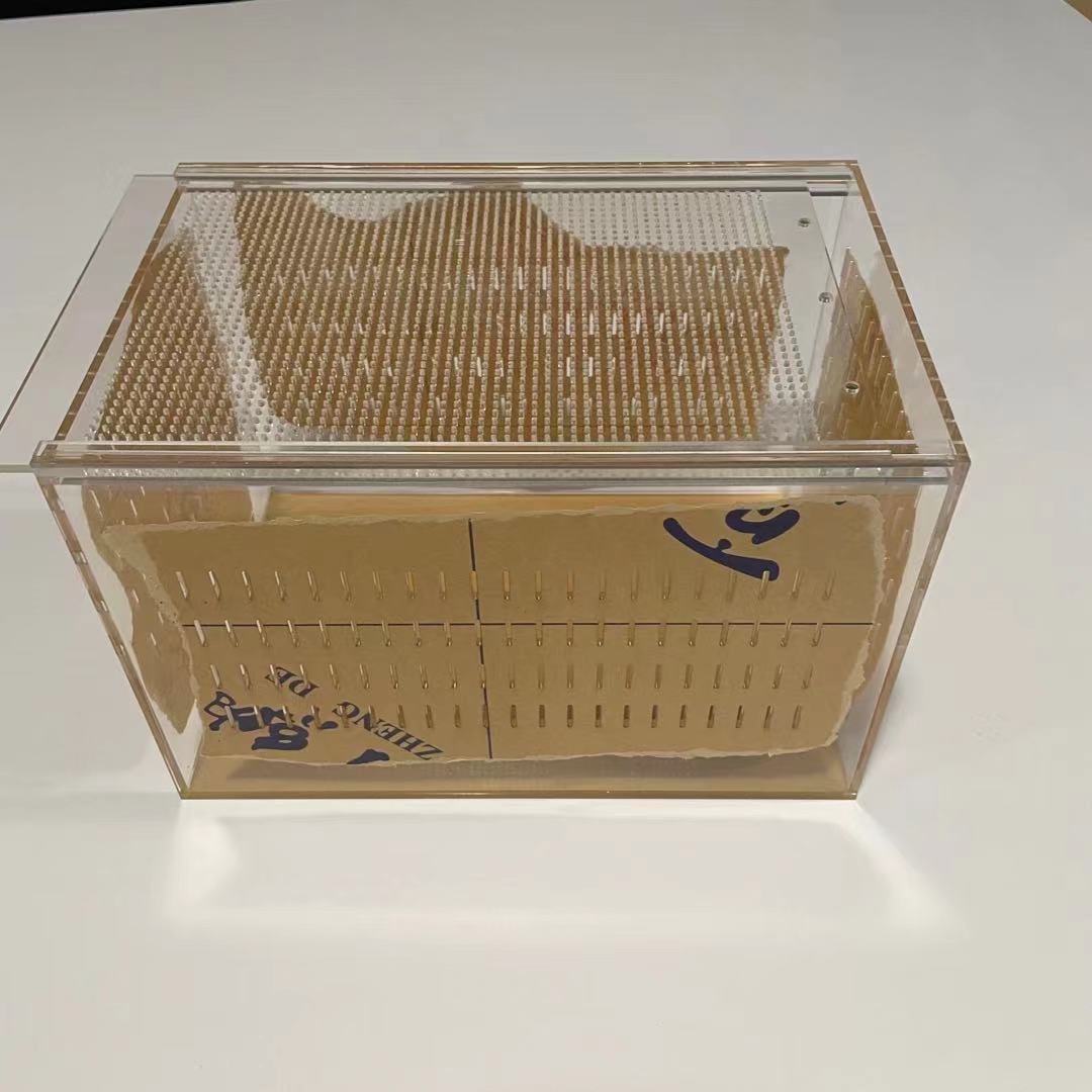 工厂销售 亚克力爬宠箱 透明亚克力宠物箱 蜥蜴变色龙饲养箱批发