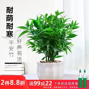 �������ֲ���҃��ļ����������՚�Gֲ�ļ����B���a�ͺ�ƽ����