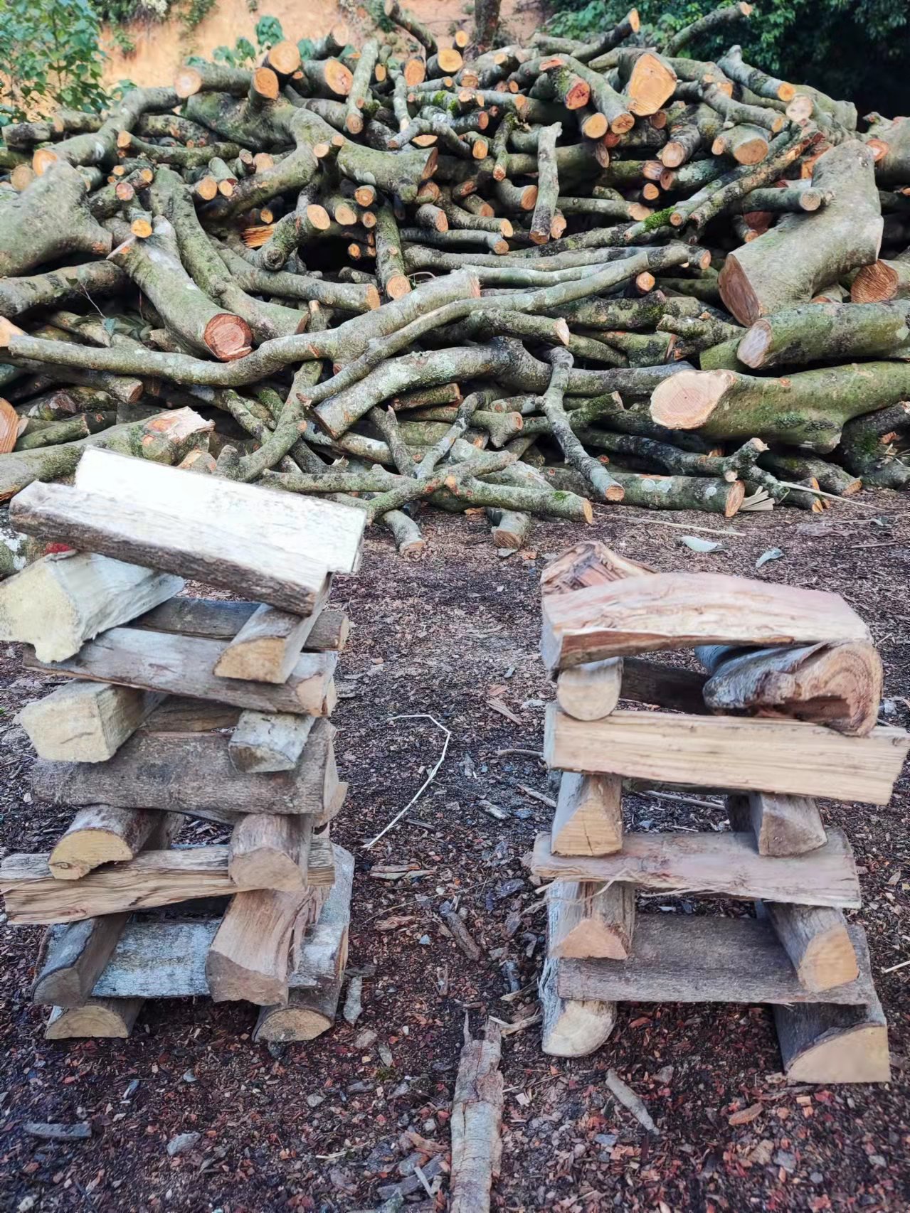 5YA1 outdoor campfire wood dry firewood burning lychee pine wood split wood dry firewood fireplace boiler fuel