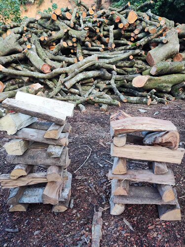 5YA1 outdoor campfire wood dry firewood burning lychee pine wood split wood dry firewood fireplace boiler fuel