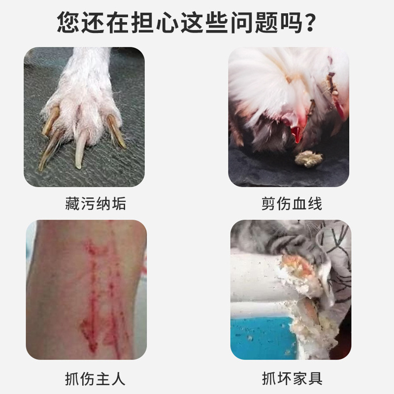 Perro y perro de aleación pinzas de uñas para mascotas cortadoras de uñas moler capas anti-splash gatos agujeros redondos tijeras de uñas al por mayor