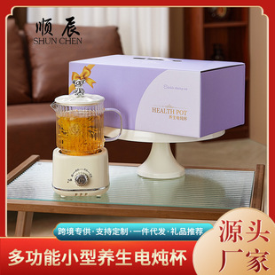 Mini Multi-functional Health Cup New Glass Electric Heating Cup Household Flower Tea Pot Office Electric Stew Cup Gift recommend
