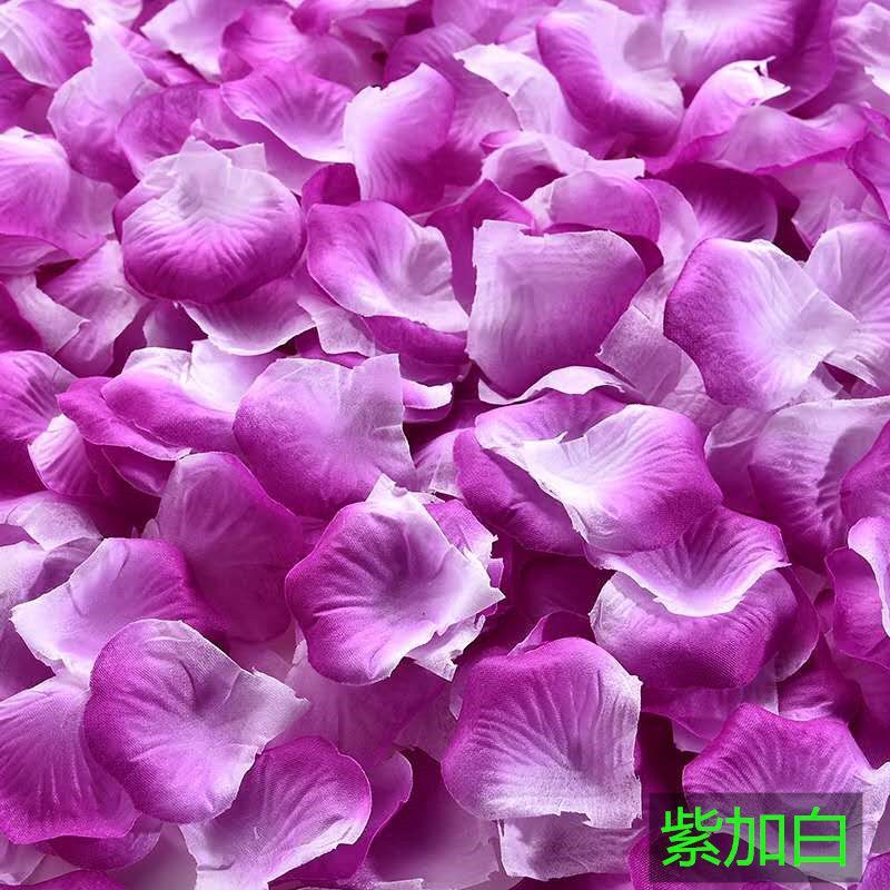 花びらの結婚式の結婚部屋にバラの花びらの結婚祝い用品のロマンチックな雰囲気をシミュレーションします。|undefined