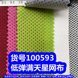 100593#低弹满天星网布、小孔网布点点纹网布电子纹网布