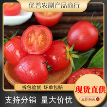 ���ڼtɫ�}Ů��5���������rˮ��3���l���]10�����߲˼tɫС���t��