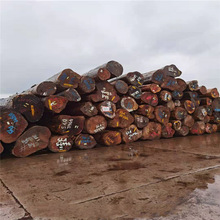 �S�ҳ��깩�� �t�� �t���� �t�Fľ ԭľ ��� �Ҿ߲�