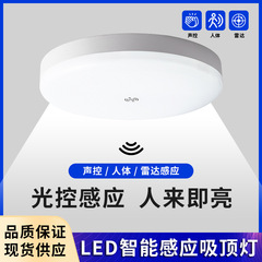 LED 誘導シーリングライト音声制御インテリジェントセンサーライト階段通路ライト人体レーダー誘導シーリングライト卸売