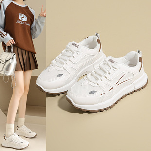 �羳�r�І�ЬŮ2026��͸���nϵ�WԺ�L�W�����e͸��ϵ���\���ϵ�Ь