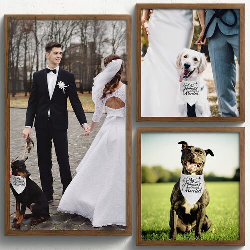 Amazon eBay sublimation printed LOGO pet handkerchief dog headscarf cat headscarf triangle scarf wedding