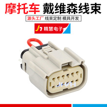 �m��춹��״��Sɭ�O��CarPlay���� Harley DavidsonGTS�����C����