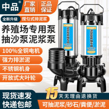 泥浆泵 抽粪泵 抽沙泵 化粪池养殖场专用泵 大功率污水泵380v三相