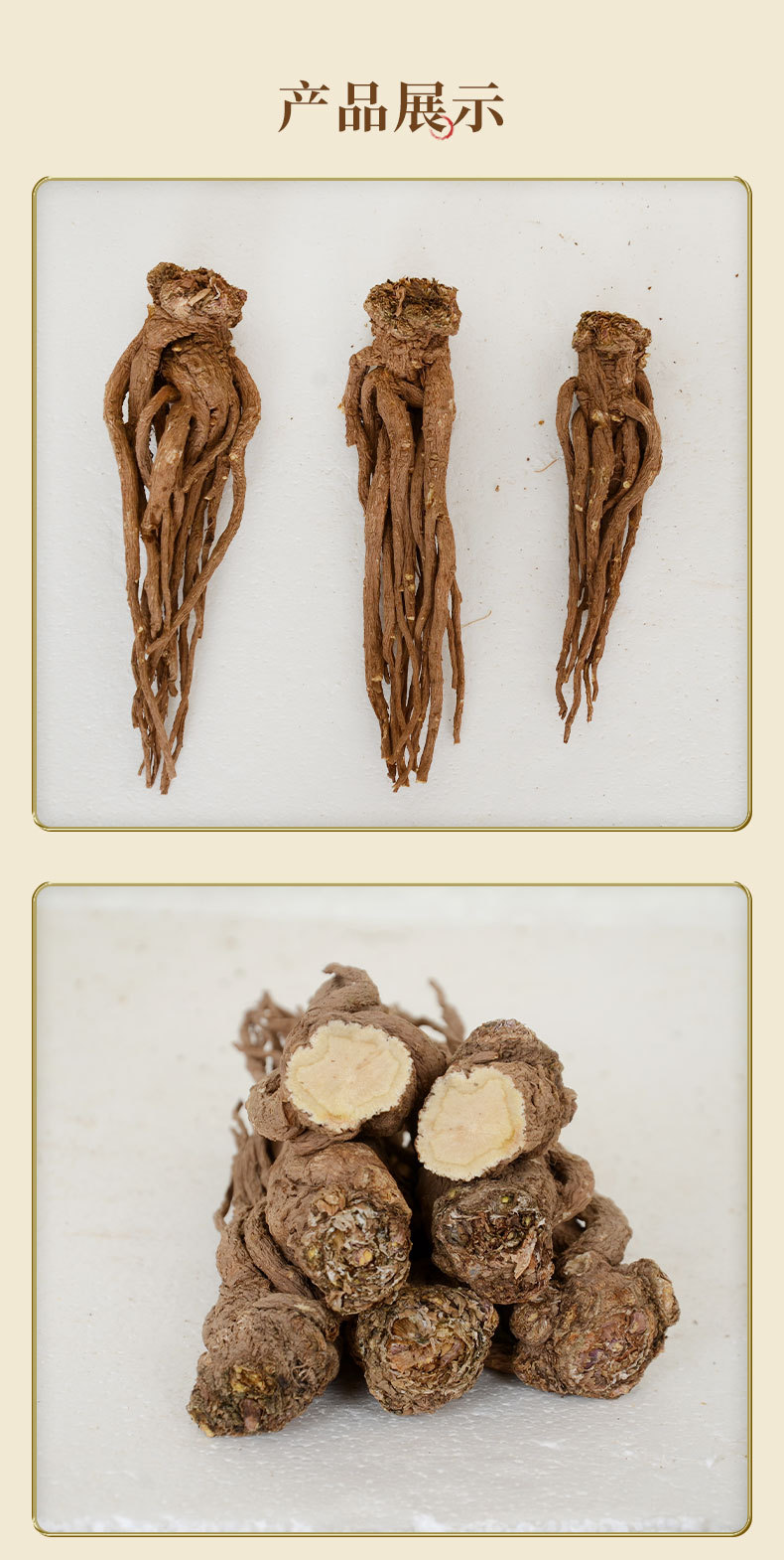 Premium Dang Gui from Dingxi Min County, Large and Medium-Sized Whole Roots, Sulfur-Free, New Stock, at Prices detail image