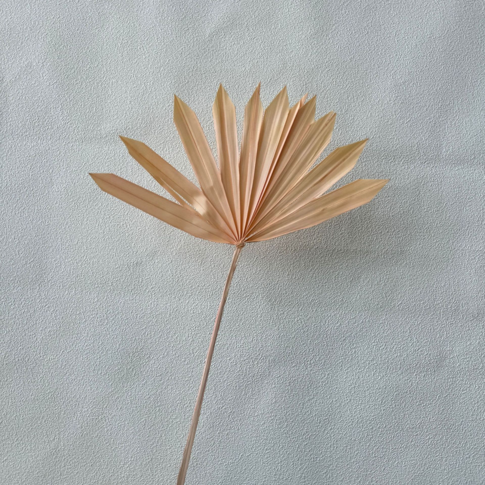 관음 팬 샴페인 컬러