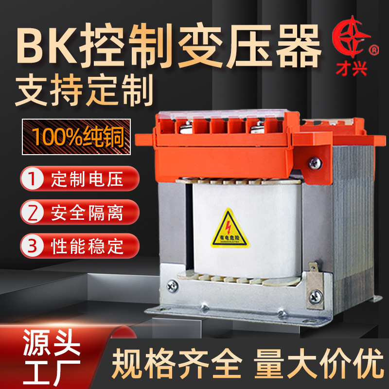 Caiting Transformer, 220V, 110V, 200W
