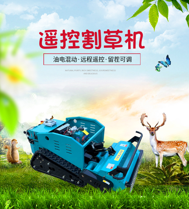 微信图片_20241223151831_副本1