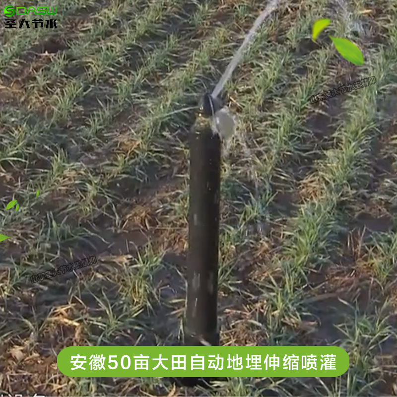 自動地埋伸縮噴頭廠家 圣大節水生產安徽大田玉米噴灌可升降噴頭